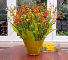 Crocosmia Mixture